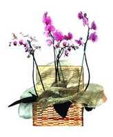 Flores de tela