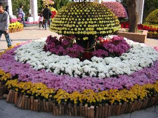 flowers.jpg