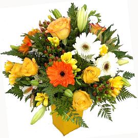 cuidadosflores.jpg