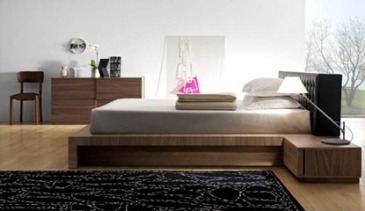 dm-270309-07.jpg