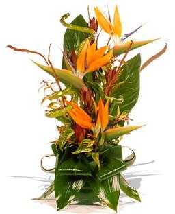 floresfengshui11