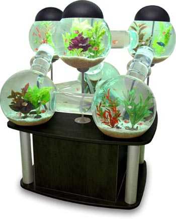 pescera1