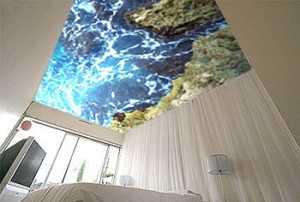 Decoración de techos con vinilo y murales. | Pintura - Decora Ilumina