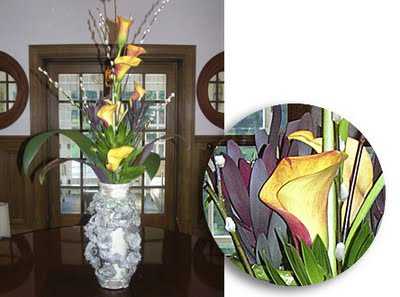 flores sala