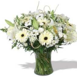 flores