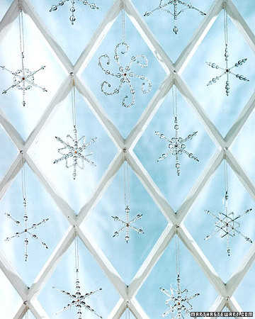 coposnieve5