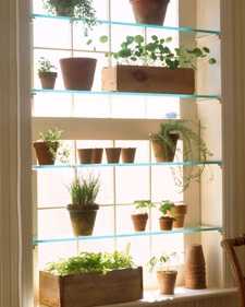 jardininterior1