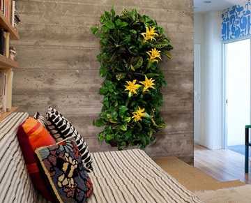 jardininterior5