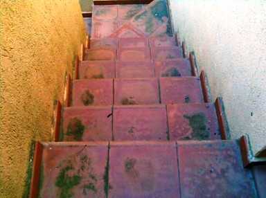 moho escalera