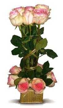 rosas1,jpg