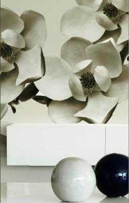 wall deco5