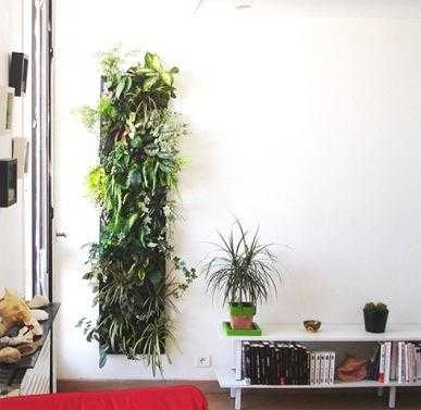 pared blanca5
