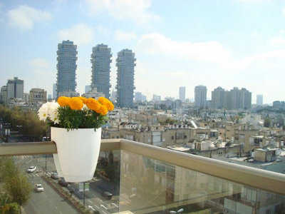 balcon-plantas balcon-plantas