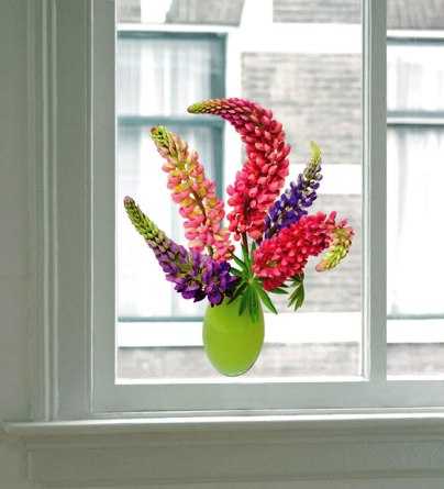Ventanas decora ilumina