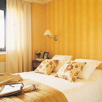 Tips for choosing paint colors and types