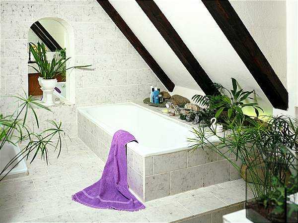 tinas-jacuzzis16