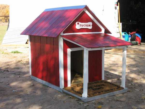 Linda casa para tu perrito ¡Cómoda y moderna!